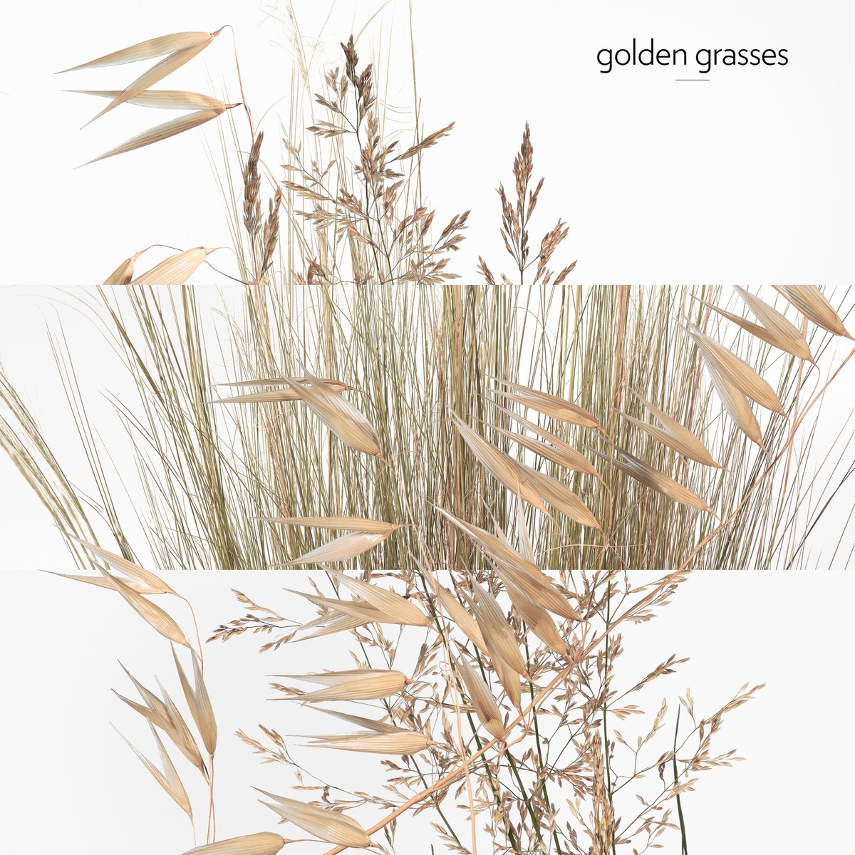 Un Jardin A Cythere Eau de Toilette Spray