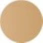  Sable Sand Reno