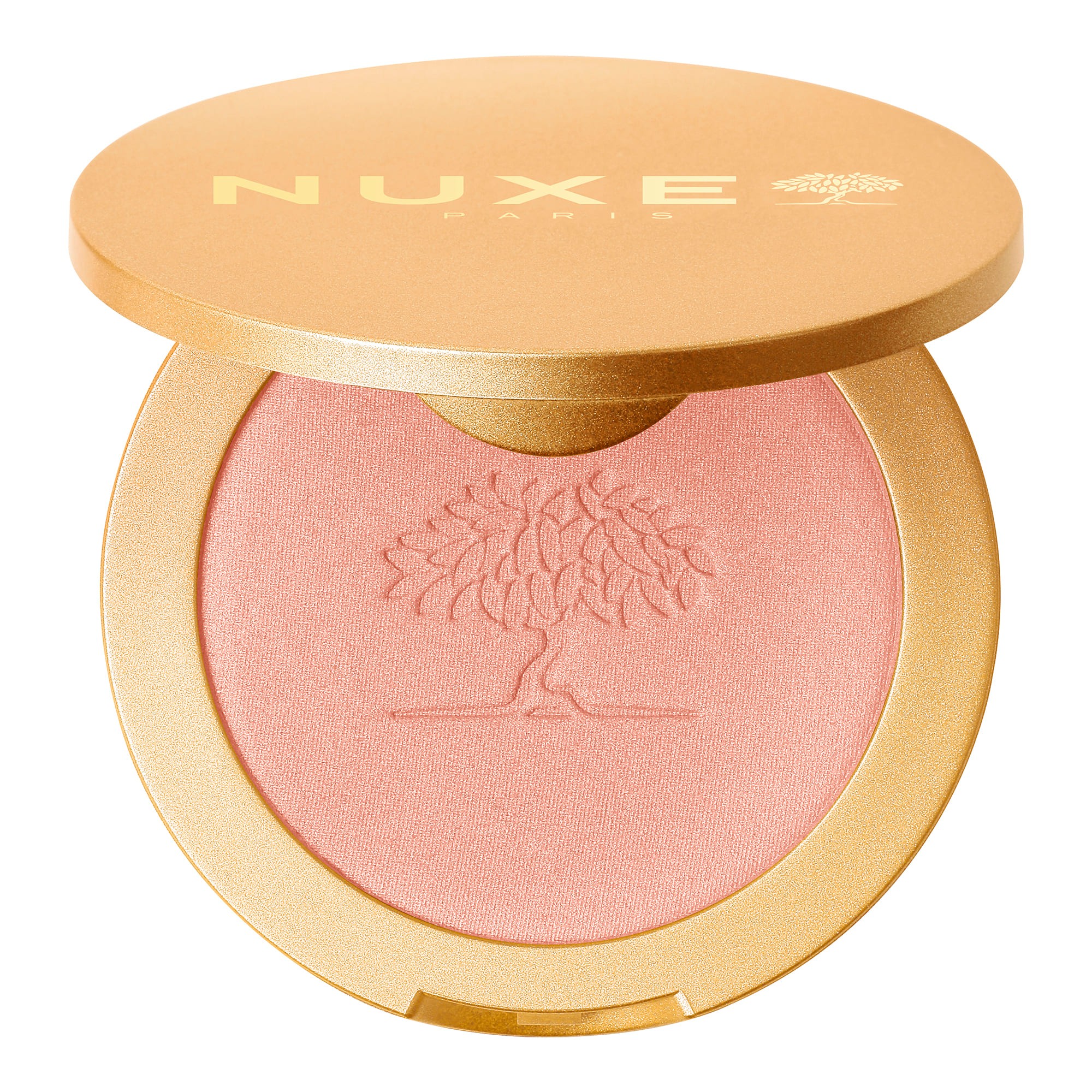 Highlighting Powder