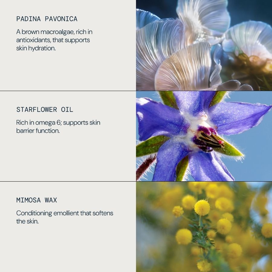 Cleansing Balm