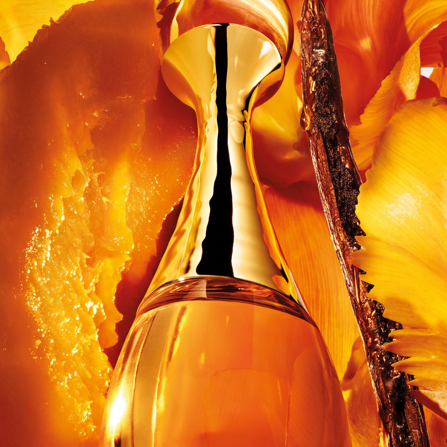 J'adore L'Or  - Perfume notas florais