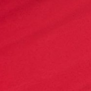  NO REGULAR RED