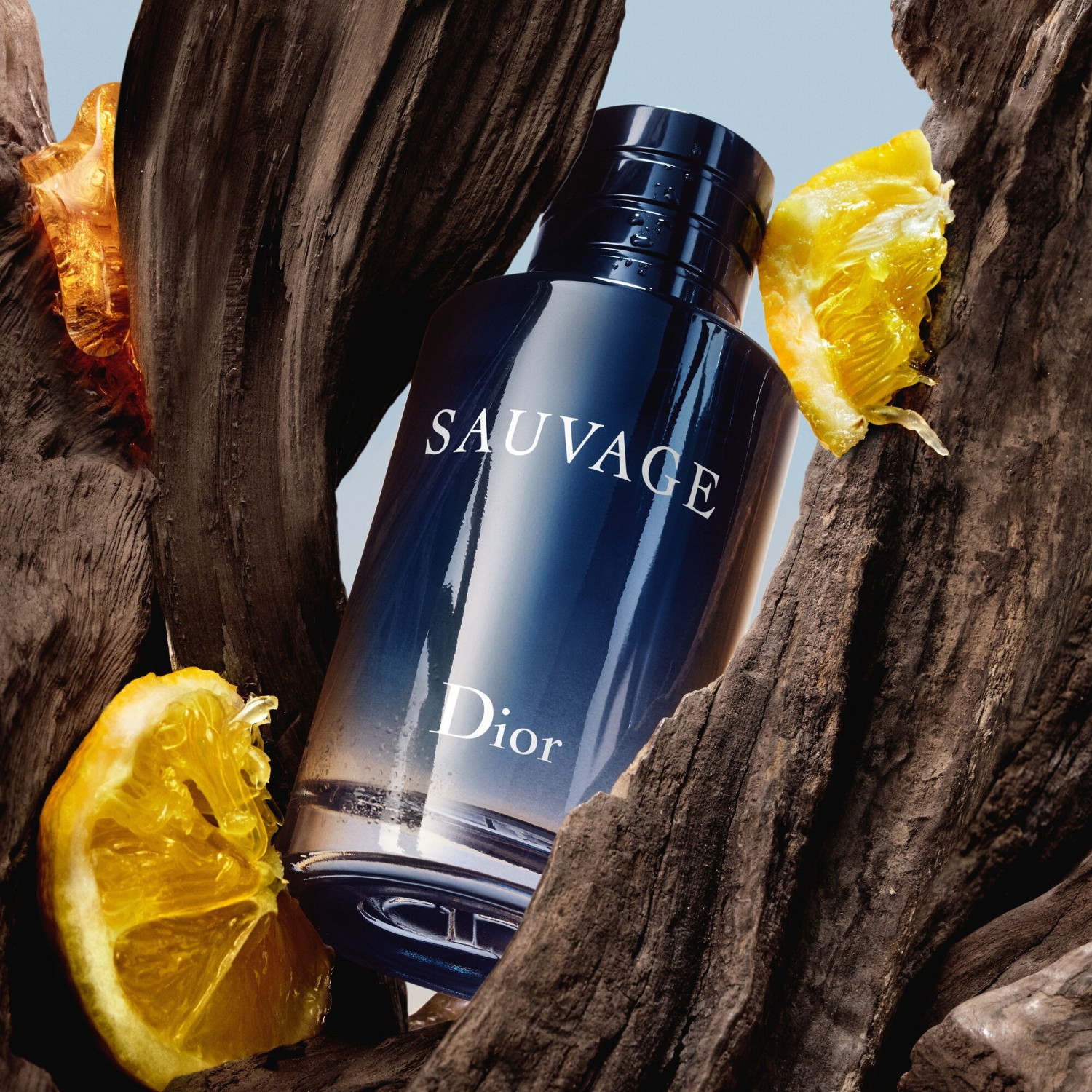 Sauvage  - Eau de toilette