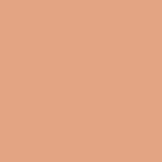 13 Warm Beige