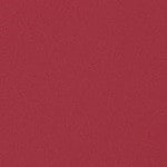 10 - Fuschia Ecstasy