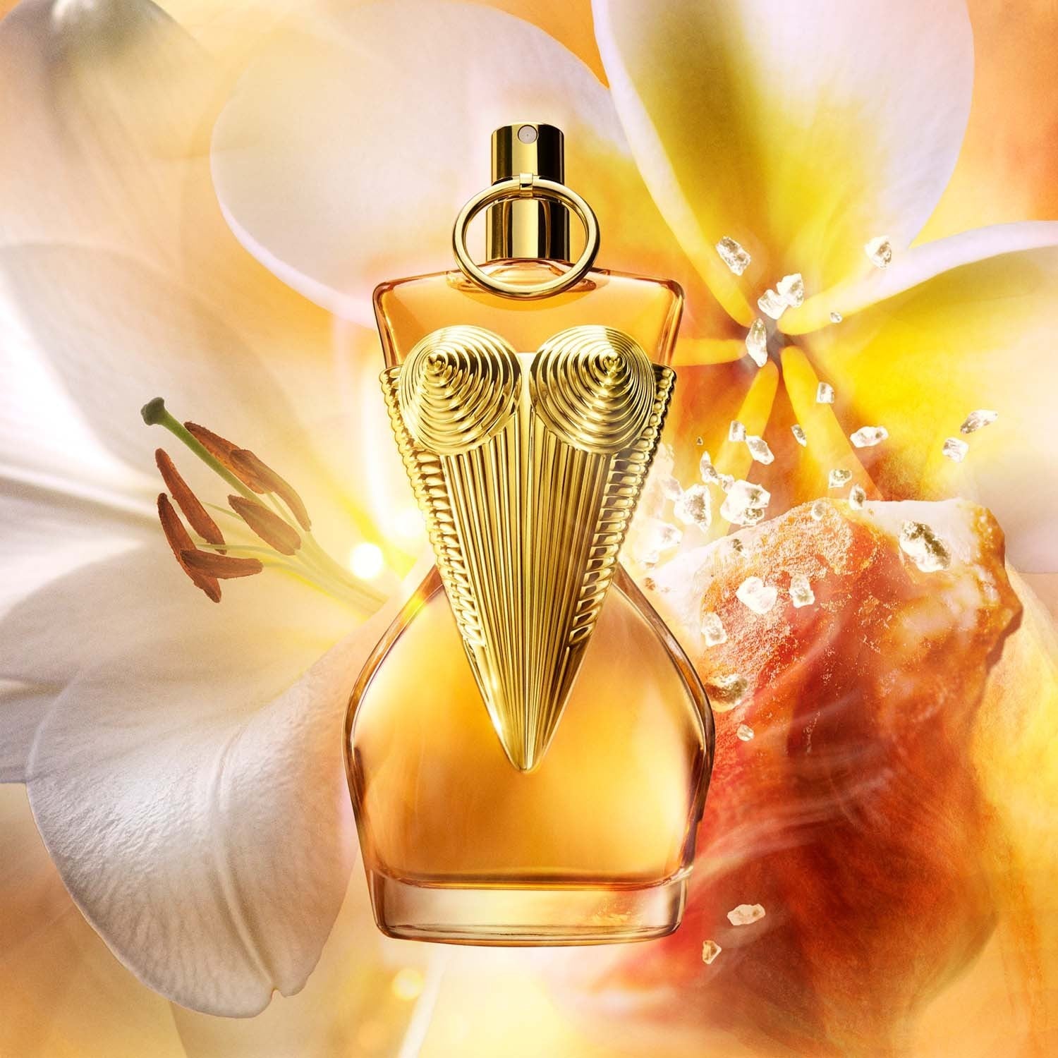 Gaultier Divine Le Parfum Eau de Parfum Spray