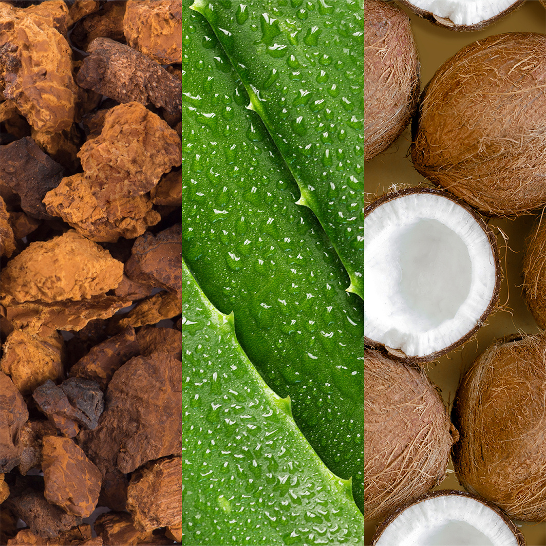 Aloe Adaptogens & Coconut