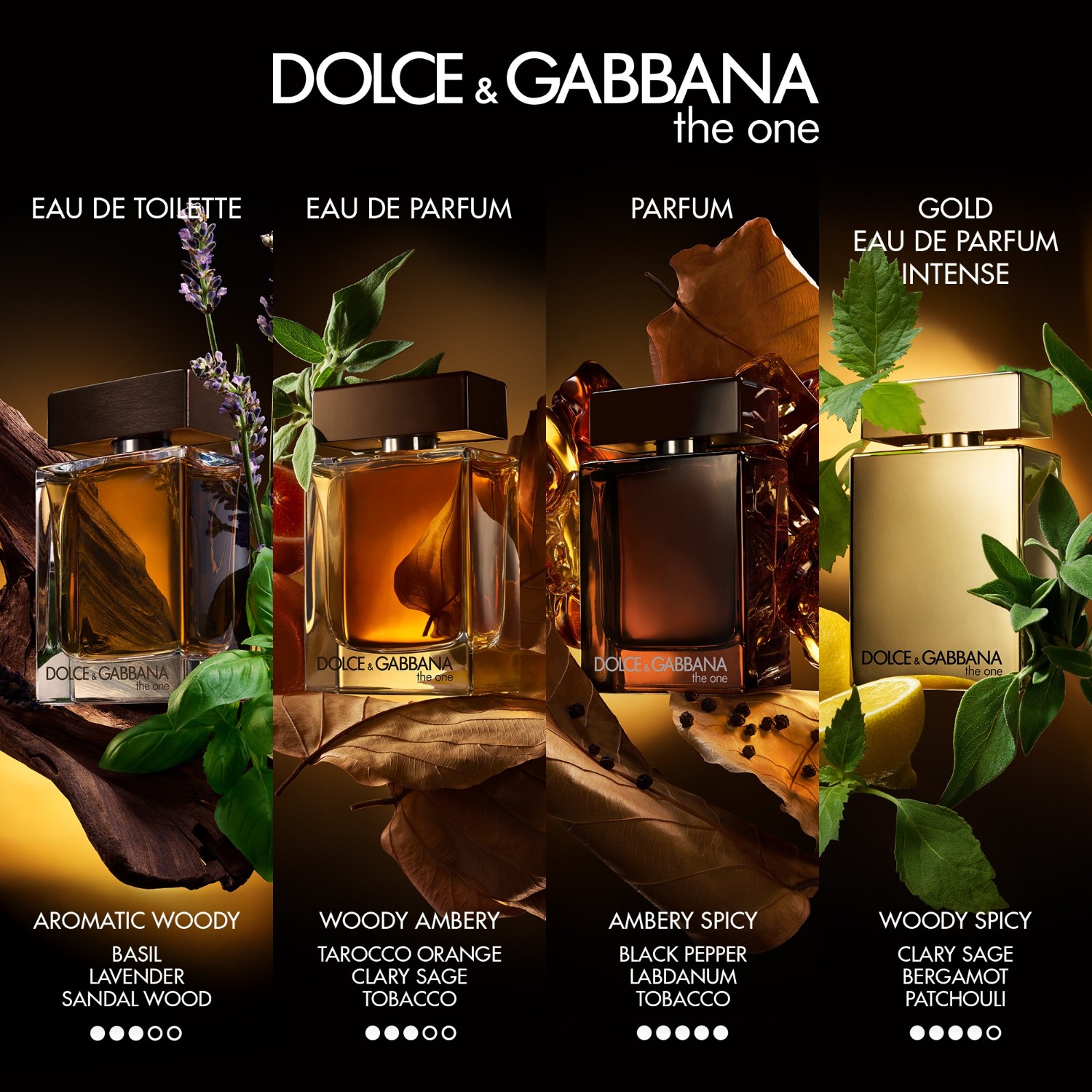 The One Men Parfum