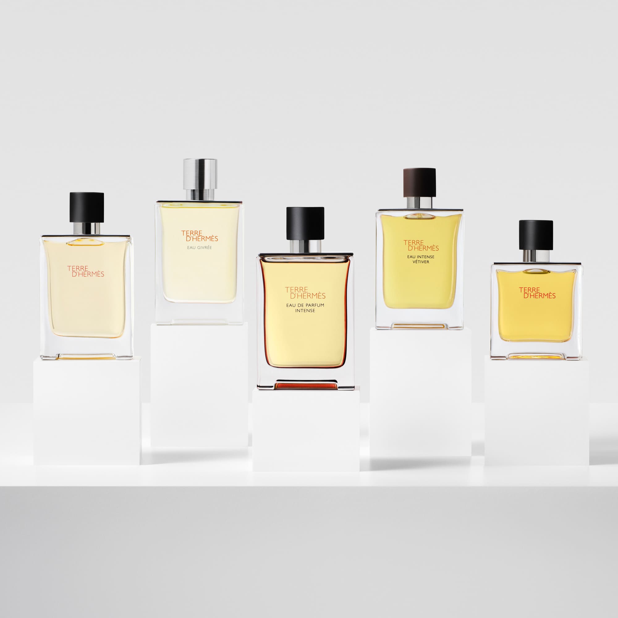 Terre D'Hermes Eau de Parfum Intense