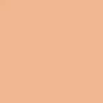 103 Warm Beige