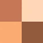  01 Shiny Foliage