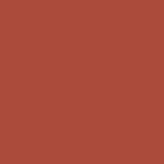 737 - Spicy Cinnamon