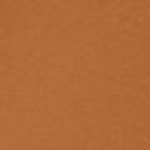 44 - Tan Warm