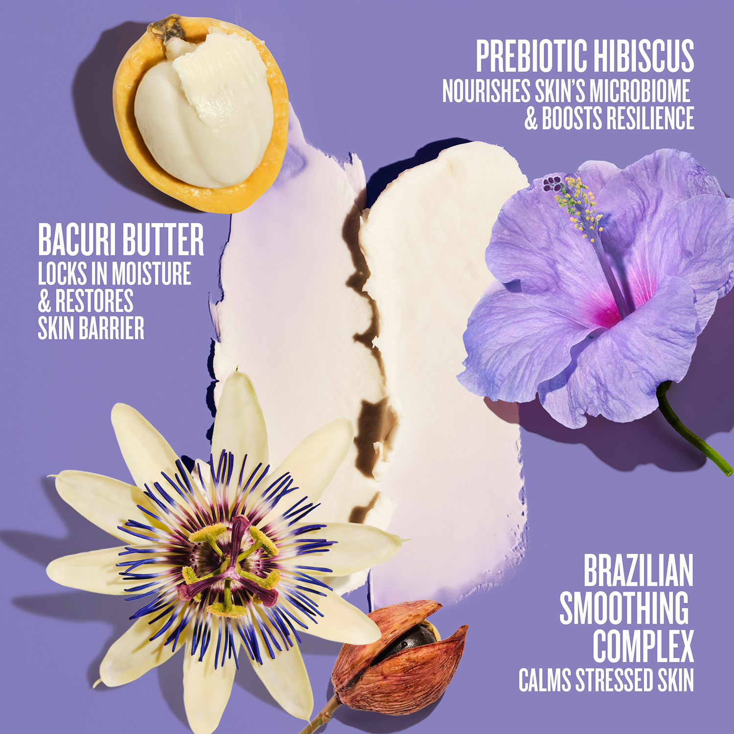 Body Butter Delicia