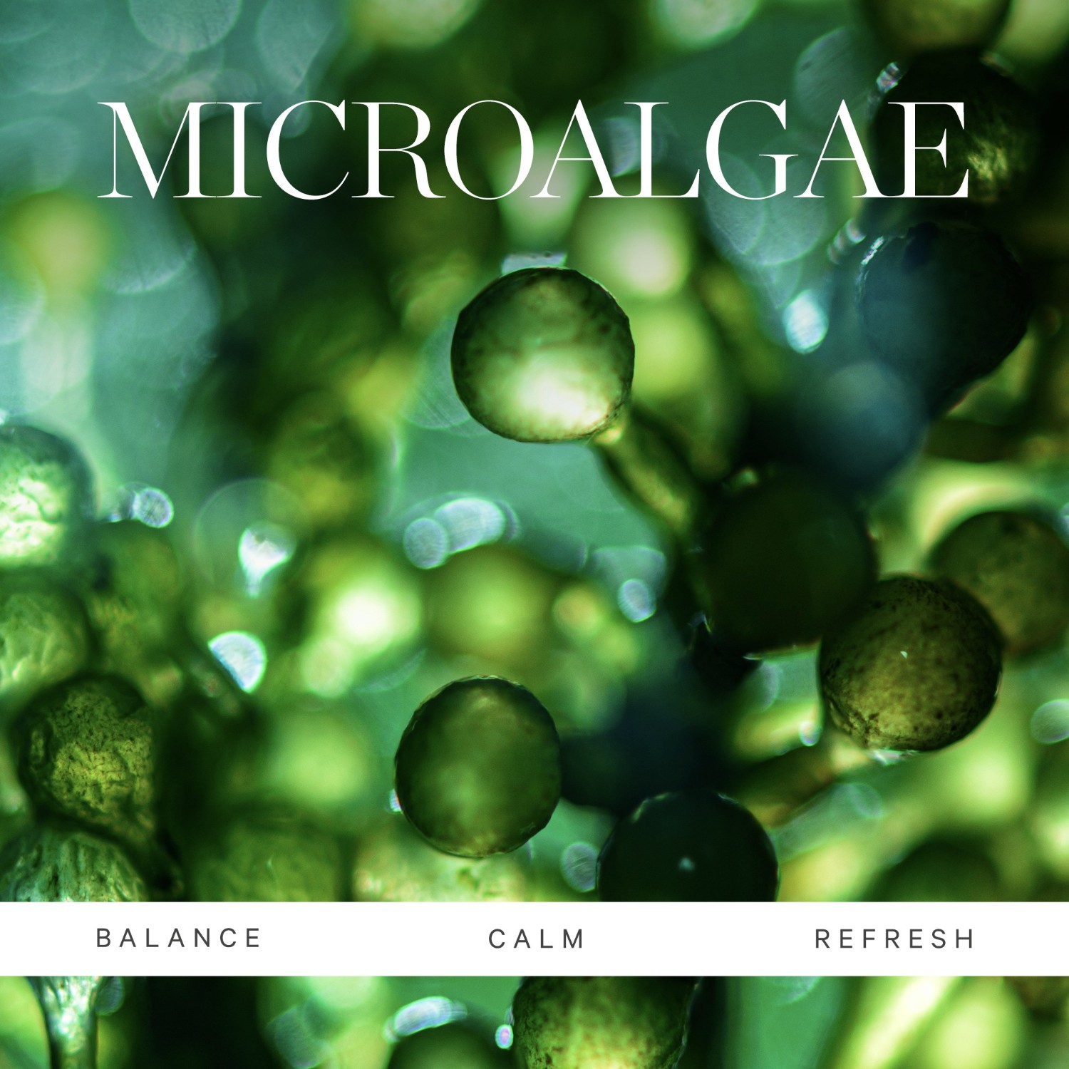 Active Algae Lightweight Moisturizer Refill