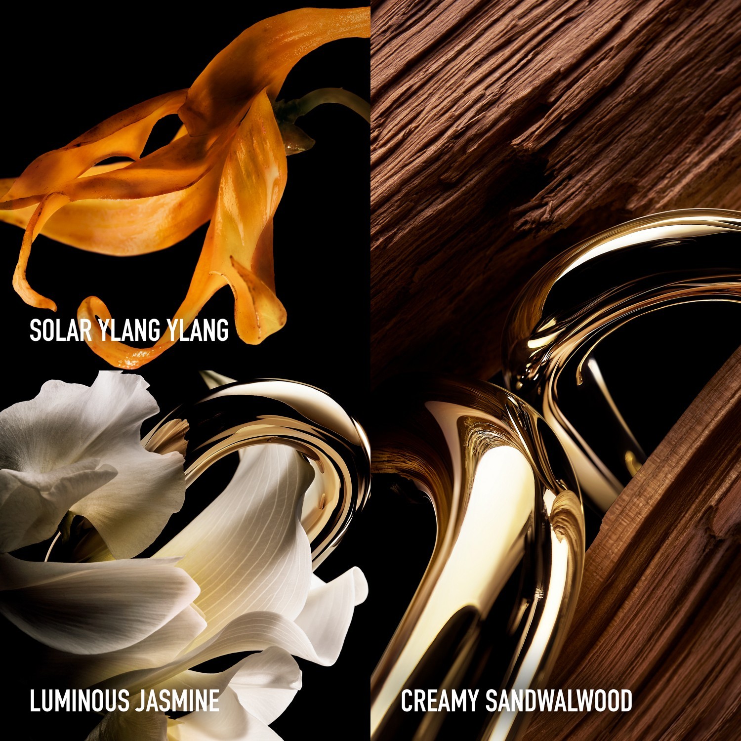 Million Gold For Her Parfum Spray