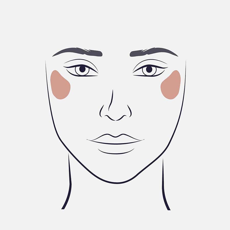 Face Brushes 105 Highlight