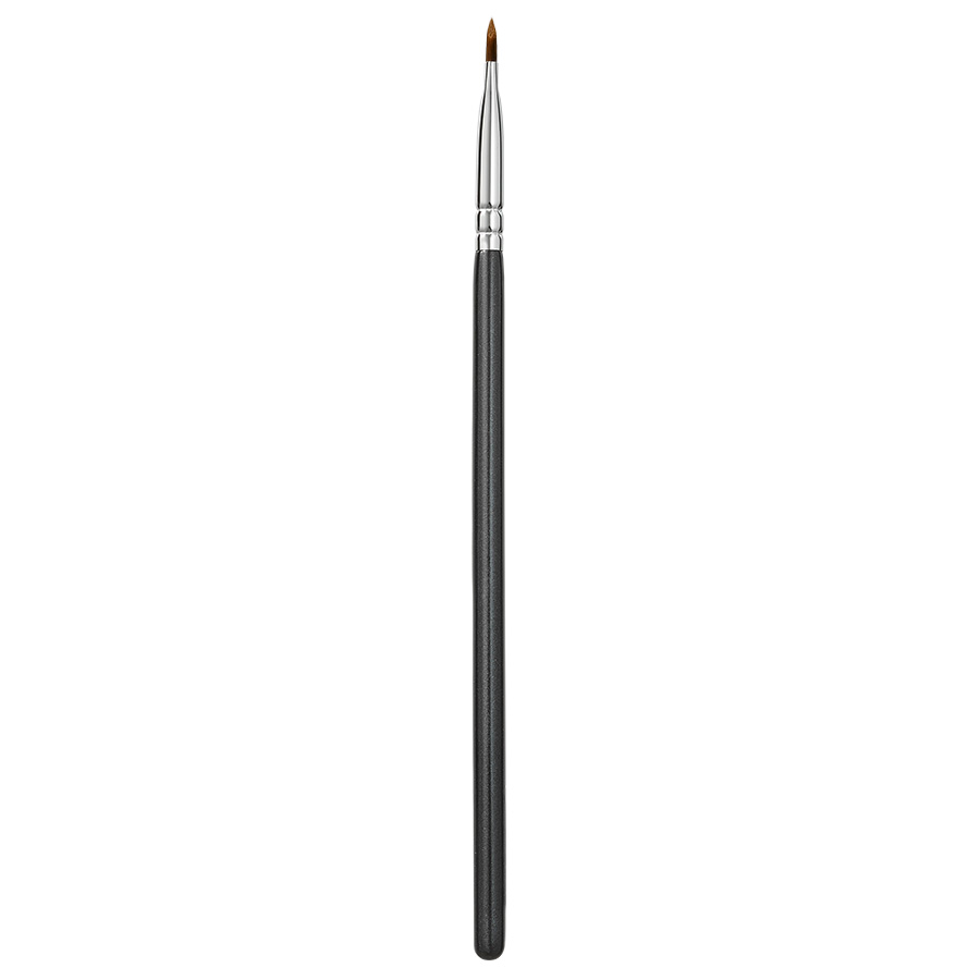 Eye Brushes 317 Wing Liner