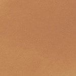 4N1 - Shell Beige