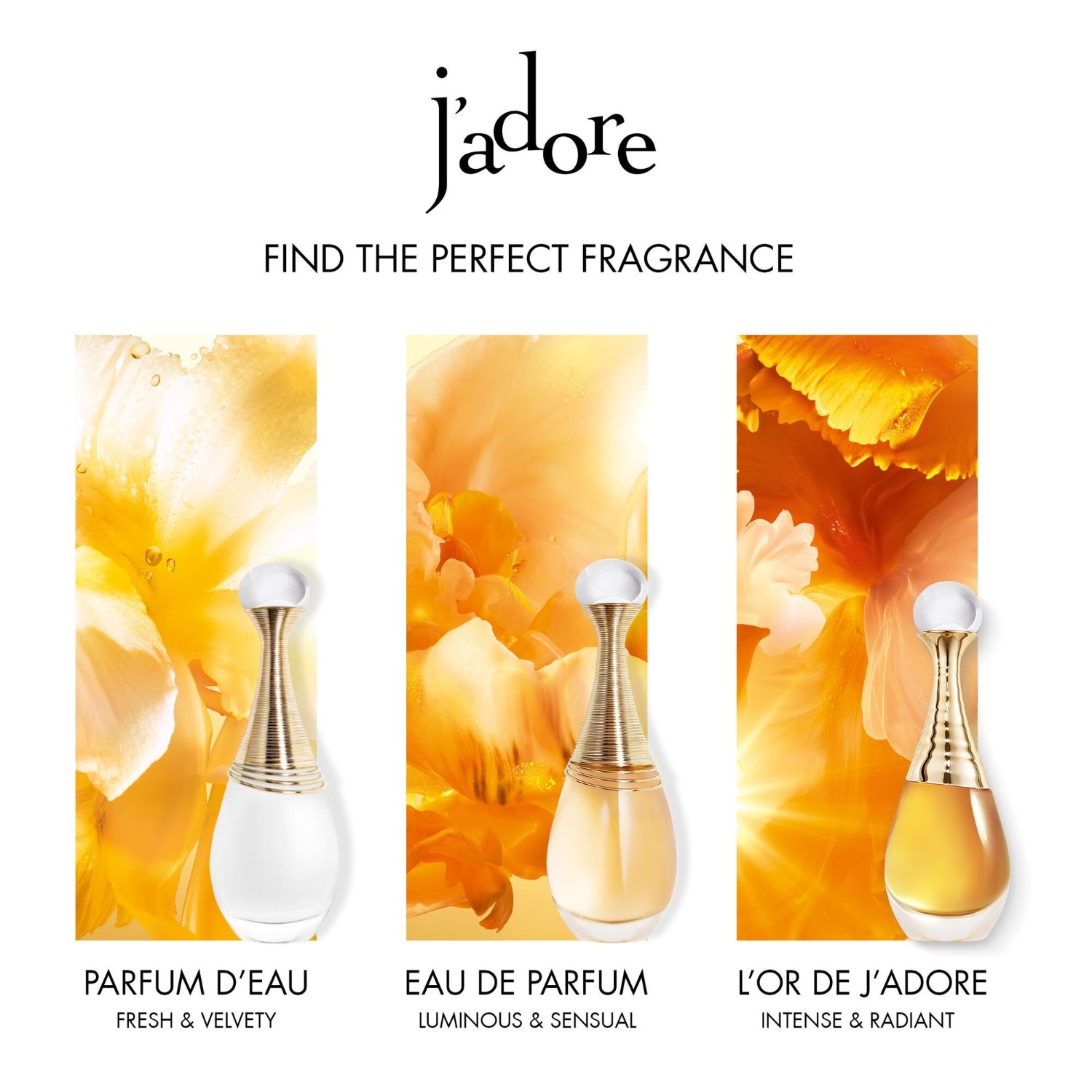 J'adore L'Or  - Perfume notas florais