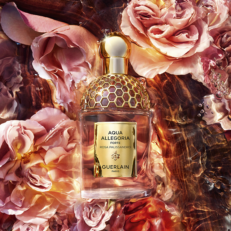 Aqua Allegoria Woody Forte Rosa Palissand Eau de Parfum