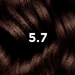 5.37 Chestnt Light Brown