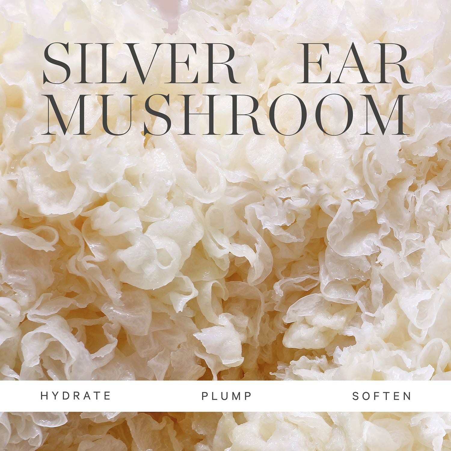 Mushroom Cleansing Oil