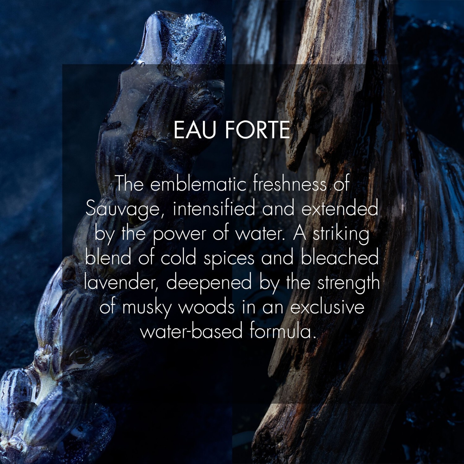 Sauvage Eau Forte  - Perfume sem álcool - Notas frescas e intensas