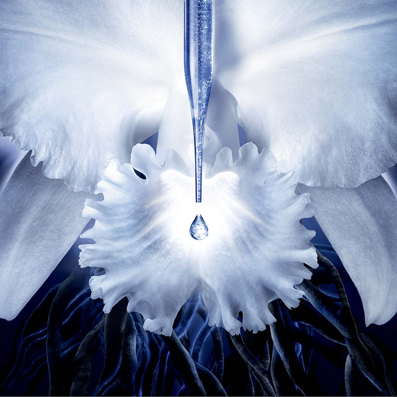Orchidee Imperiale Concentrate Eye Cream