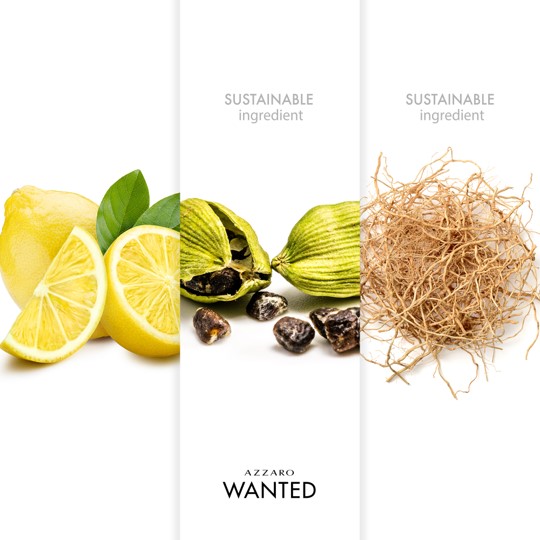 Wanted Eau de Toilette Refillable