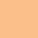107 - Warm Sienna