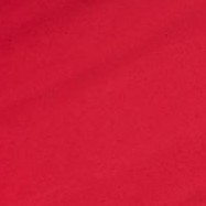 NO REGULAR RED