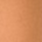 Tan Neutral 405