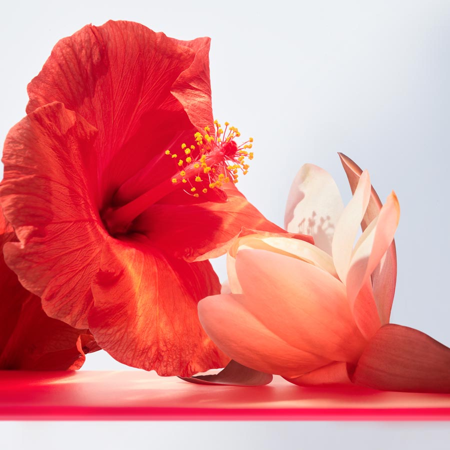 Omnia Coral Eau de Toilette Spray