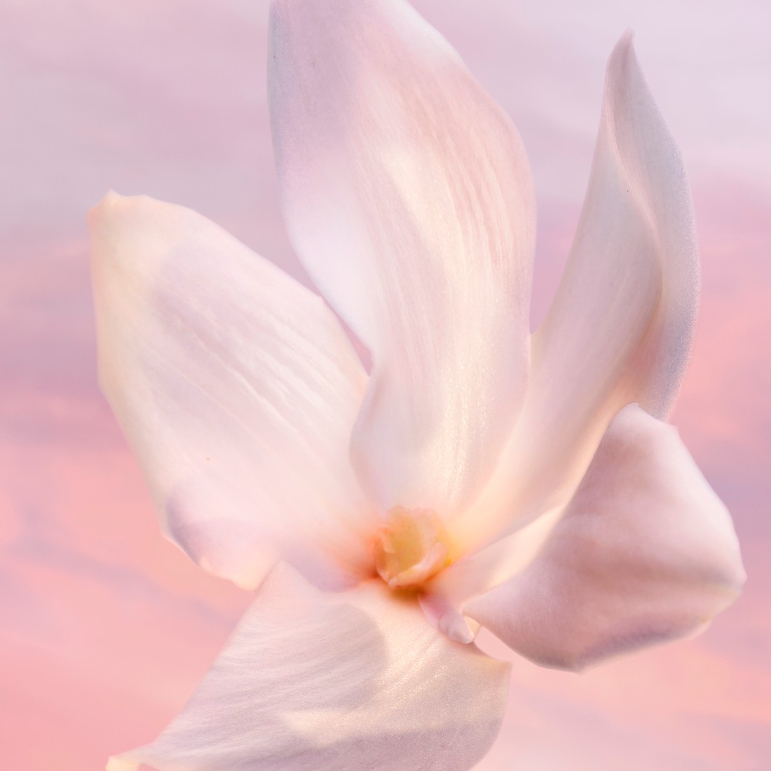 La Vie Est Belle Vanille Nude Eau de Parfum Spray