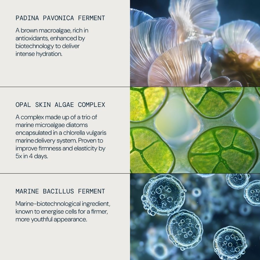 Advanced Firming Serum