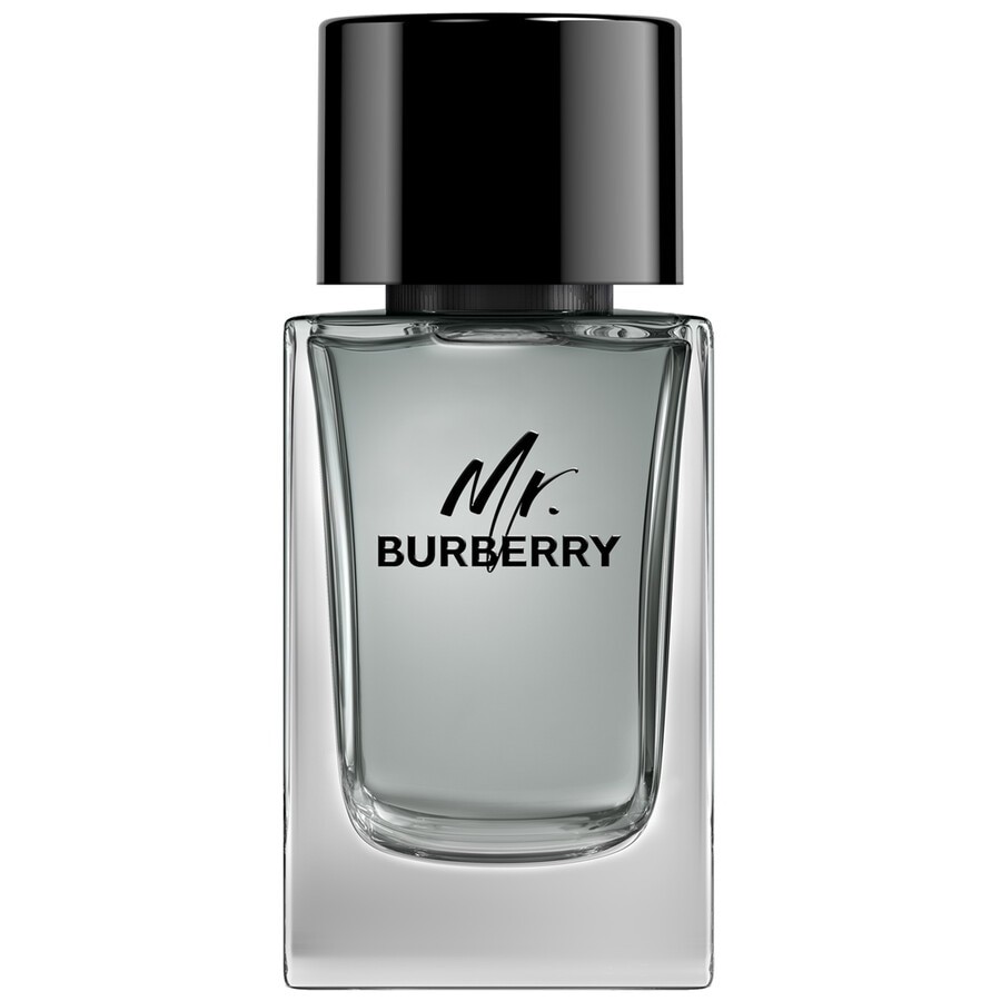 Mr Burberry Black Edt Spray