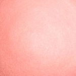 072 - Rose Initiale