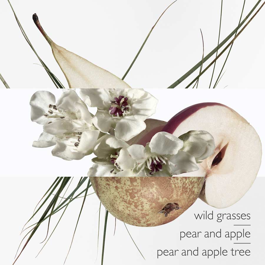 Un Jardin sur le Toit Eau de Toilette