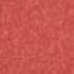737 - Spicy Cinnamon
