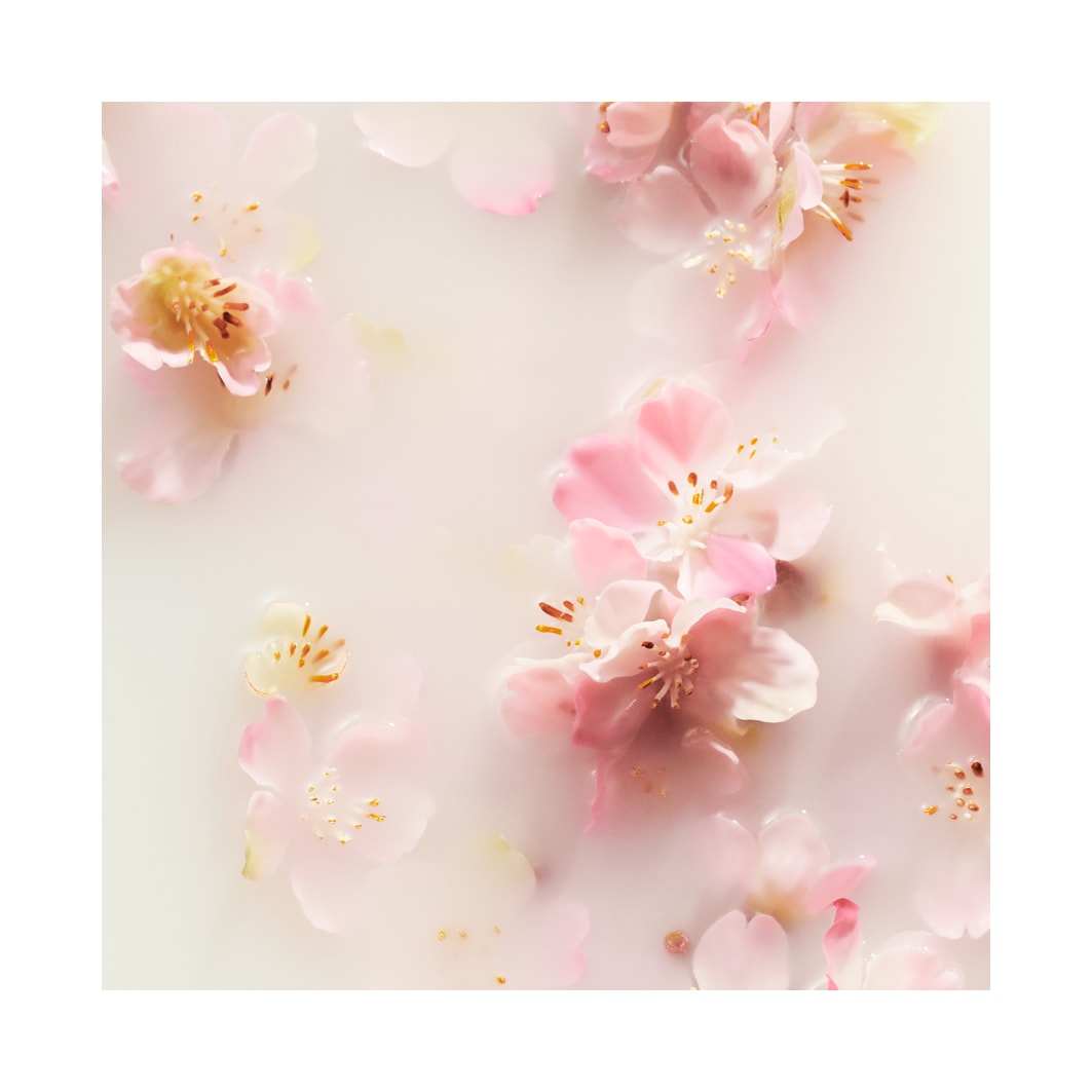 Refill Fragrance Sticks