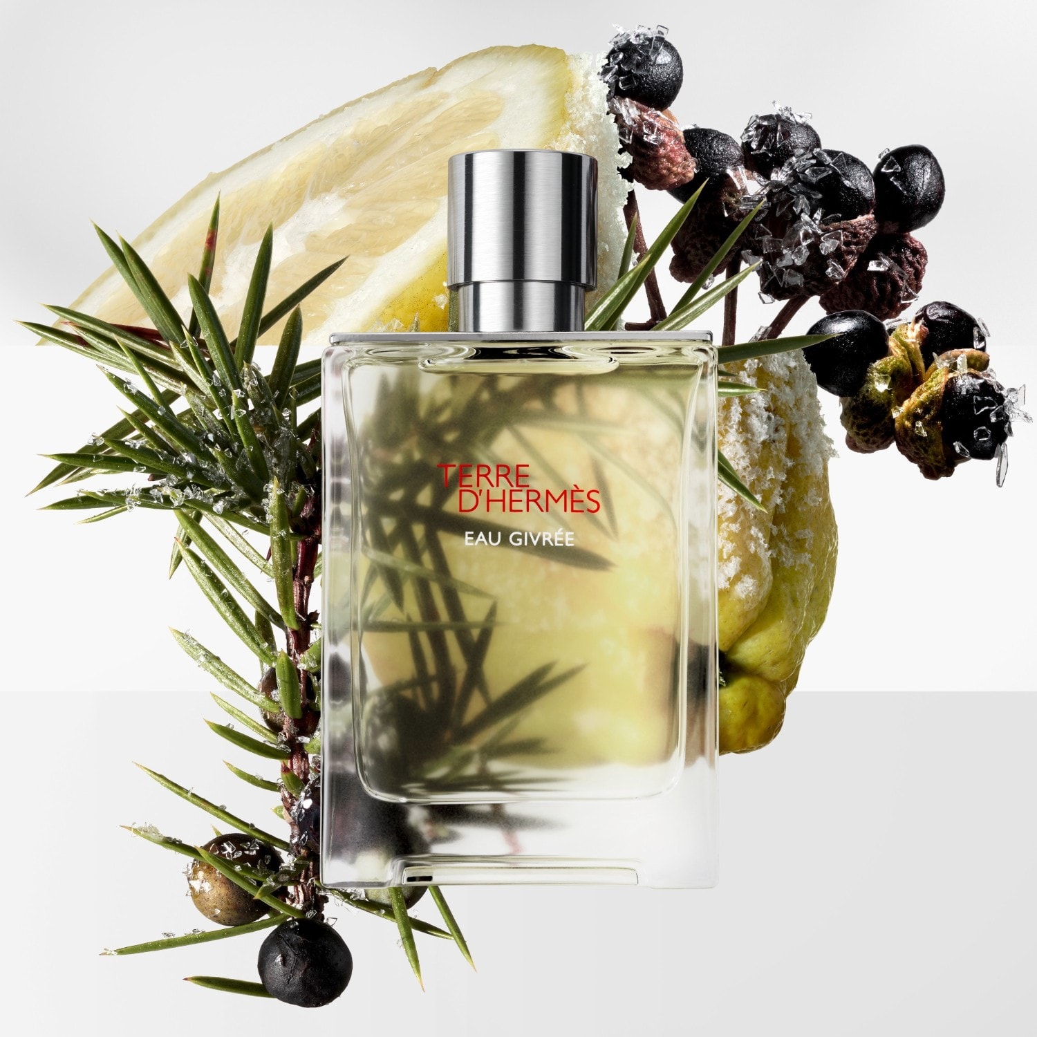 Terre D'Hermes Eau Givrée Eau de Parfum