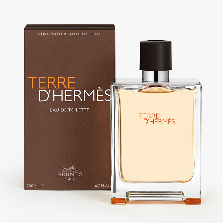 Terre D'Hermes Eau de Toilette Spray