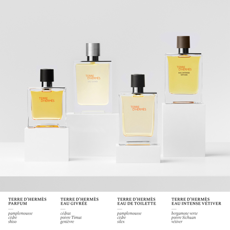 Terre D'Hermes Eau Givrée Eau de Parfum