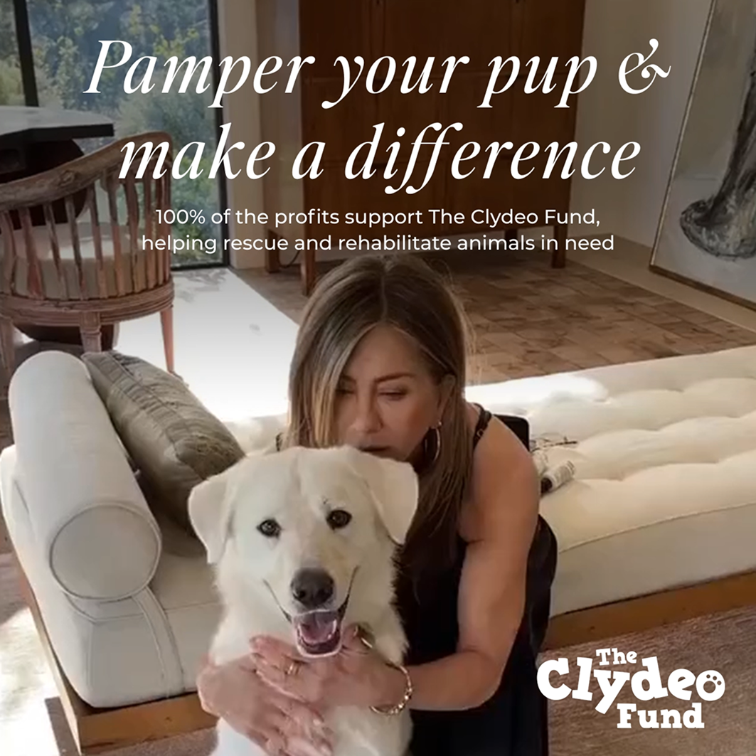 Puppy Love Dog Shampoo