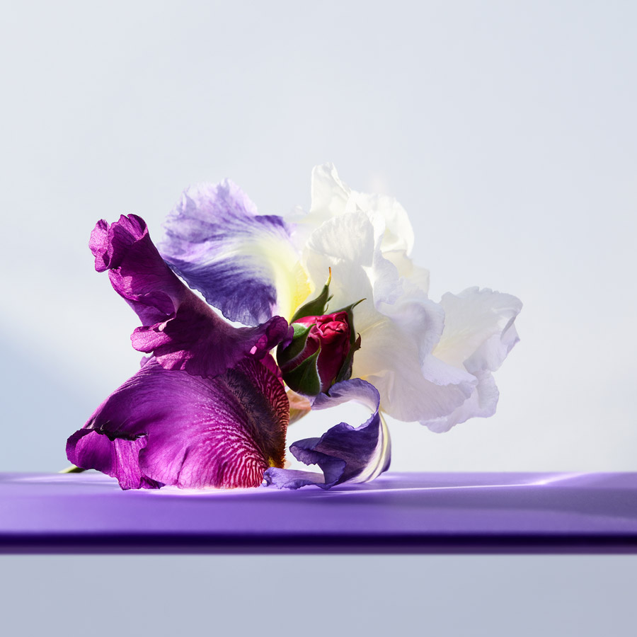 Omnia Amethyste Eau de Toilette Spray