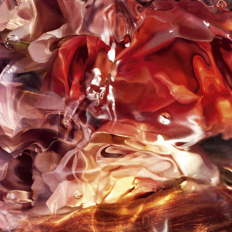 Aqua Allegoria Woody Forte Rosa Palissand Eau de Parfum
