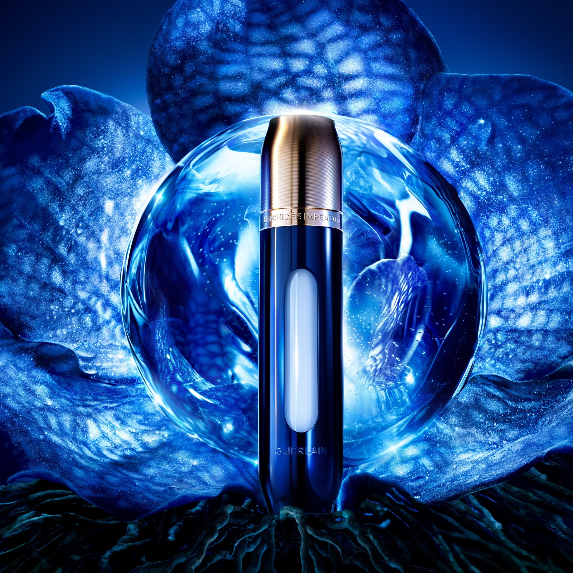 Longevity Concentrate