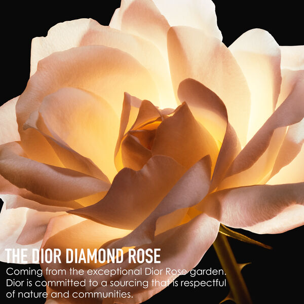 Dior Prestige La Crème