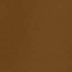 Cocoa